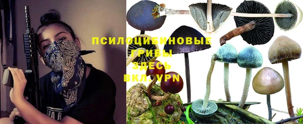 бутират Медногорск