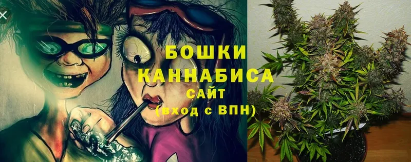 хочу наркоту  Сергач  Каннабис White Widow 